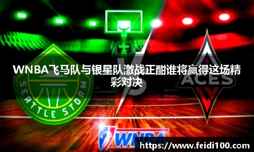 WNBA飞马队与银星队激战正酣谁将赢得这场精彩对决