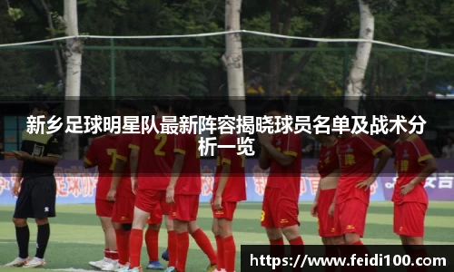 新乡足球明星队最新阵容揭晓球员名单及战术分析一览