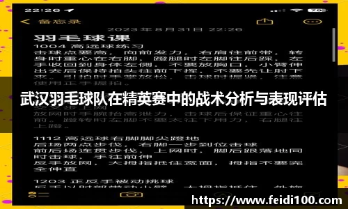 武汉羽毛球队在精英赛中的战术分析与表现评估